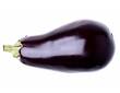 Aubergine Bonica