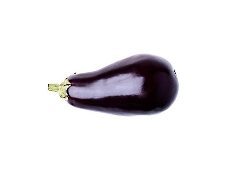 Aubergine Bonica