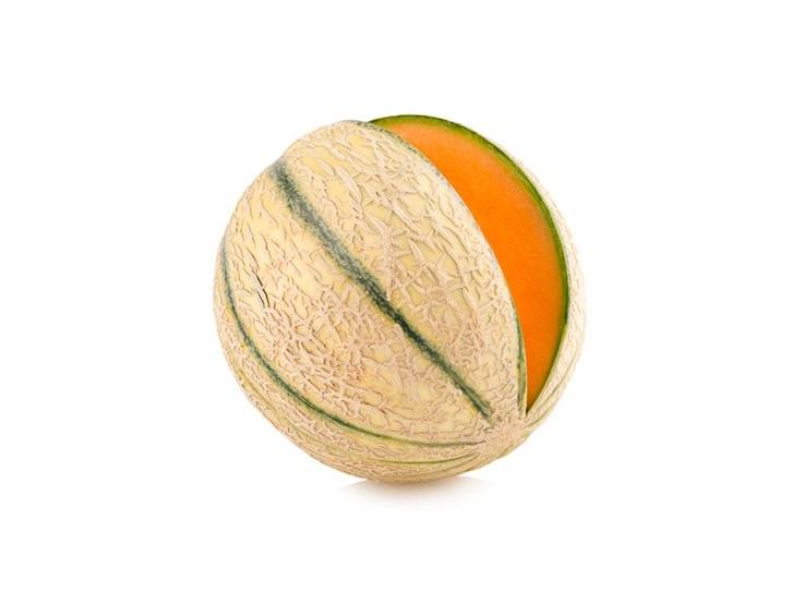 Melon charentais Troubadour