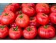 Tomate de Marmande
