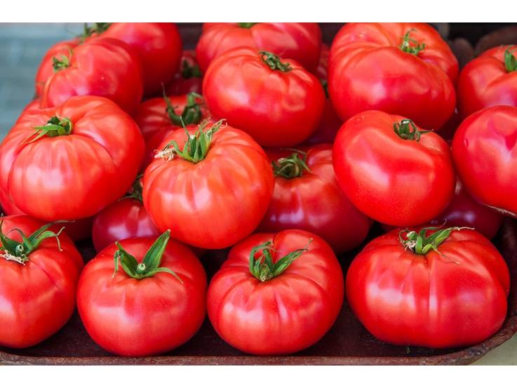 Tomate de Marmande