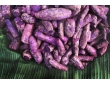 Patate douce Erato Violet