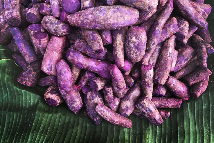 Patate douce violette bio