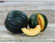 Melon noire des Carmes