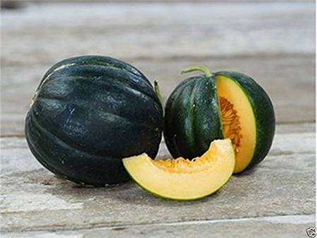 Melon noire des Carmes